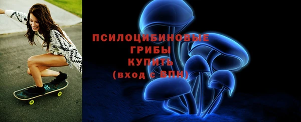 прущие грибы Алзамай