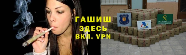 прущие грибы Алзамай