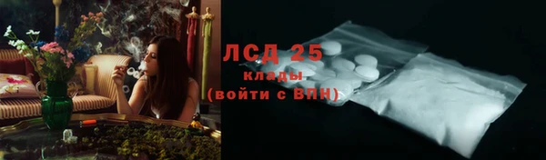 прущие грибы Алзамай