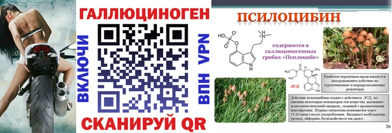 Псилоцибиновые грибы Psilocybe  цена наркотик  Тимашёвск 