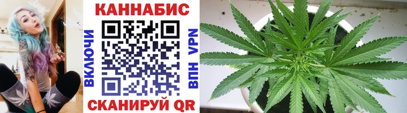 Конопля VHQ  Тимашёвск 